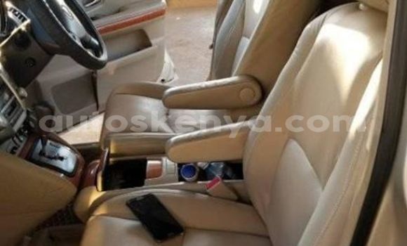 Oofamaa Lexus RX Silver Makiinaa iti Nairobi keessatti Nairobi keessatti Oofamaa Lexus RX Silver Makiinaa iti Nairobi keessatti Nairobi keessatti