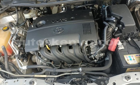 Oofamaa Toyota Auris Silver Makiinaa iti Nairobi keessatti Nairobi keessatti Oofamaa Toyota Auris Silver Makiinaa iti Nairobi keessatti Nairobi keessatti