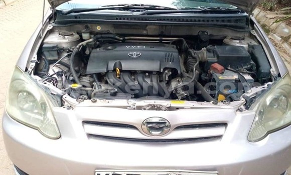 Oofamaa Toyota Runx Silver Makiinaa iti Nairobi keessatti Nairobi keessatti Oofamaa Toyota Runx Silver Makiinaa iti Nairobi keessatti Nairobi keessatti