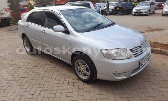 Oofamaa Toyota Corolla Silver Makiinaa iti Nairobi keessatti Nairobi keessatti Oofamaa Toyota Corolla Silver Makiinaa iti Nairobi keessatti Nairobi keessatti