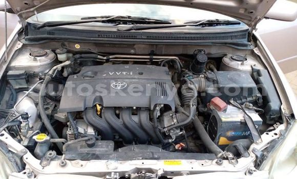 Buy Used Toyota Runx Other Car in Nairobi in Nairobi Buy Used Toyota Runx Other Car in Nairobi in Nairobi