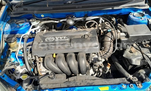 Buy Used Toyota Runx Blue Car in Nairobi in Nairobi Buy Used Toyota Runx Blue Car in Nairobi in Nairobi