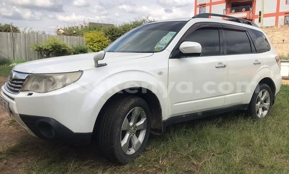 Buy Used Subaru Forester White Car in Nairobi in Nairobi Buy Used Subaru Forester White Car in Nairobi in Nairobi