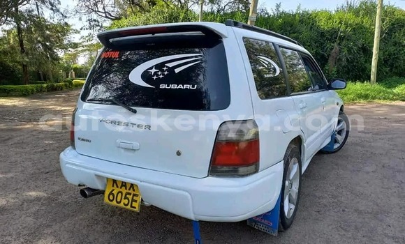 Buy Used Subaru Forester White Car in Nairobi in Nairobi Buy Used Subaru Forester White Car in Nairobi in Nairobi