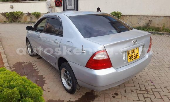 Oofamaa Toyota Corolla Silver Makiinaa iti Nairobi keessatti Nairobi keessatti Oofamaa Toyota Corolla Silver Makiinaa iti Nairobi keessatti Nairobi keessatti