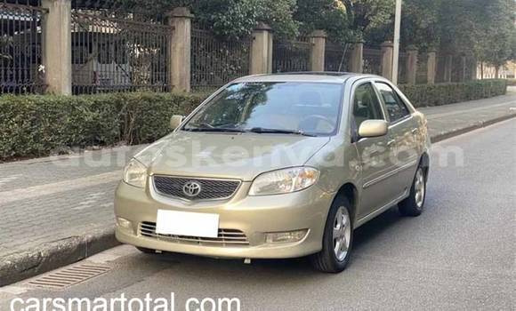 Nunua Ilio tumika Toyota Vios Fedha Gari ndani ya Nairobi nchini Nairobi