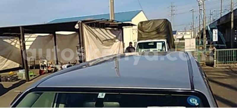 Big with watermark 06