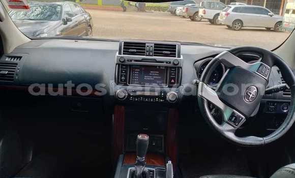 Buy Used Toyota Land Cruiser Prado Black Car in Nairobi in Nairobi Buy Used Toyota Land Cruiser Prado Black Car in Nairobi in Nairobi