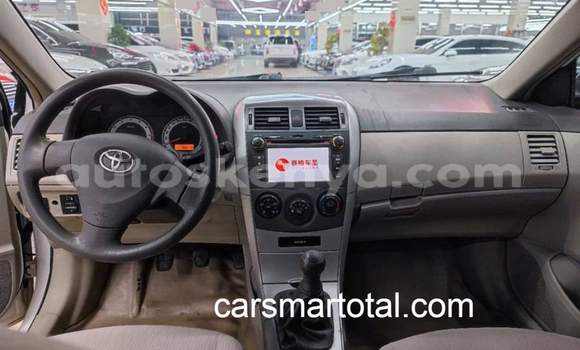 Buy Used Toyota Corolla White Car in Eldoret in Rift Valley Buy Used Toyota Corolla White Car in Eldoret in Rift Valley