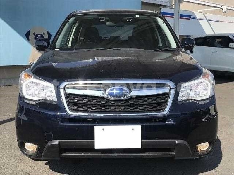 Big with watermark 1