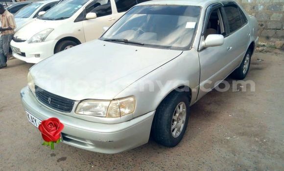 Oofamaa Toyota Corolla Silver Makiinaa iti Nairobi keessatti Nairobi keessatti Oofamaa Toyota Corolla Silver Makiinaa iti Nairobi keessatti Nairobi keessatti