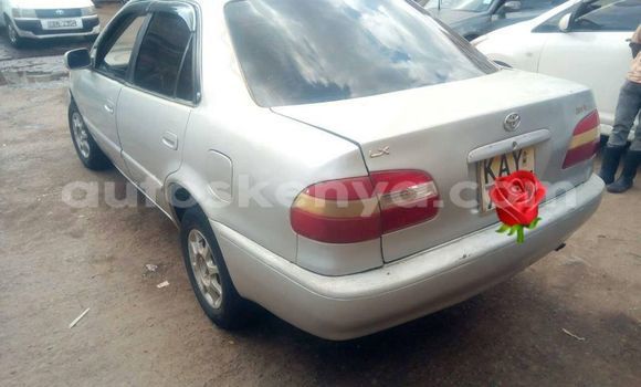 Oofamaa Toyota Corolla Silver Makiinaa iti Nairobi keessatti Nairobi keessatti Oofamaa Toyota Corolla Silver Makiinaa iti Nairobi keessatti Nairobi keessatti