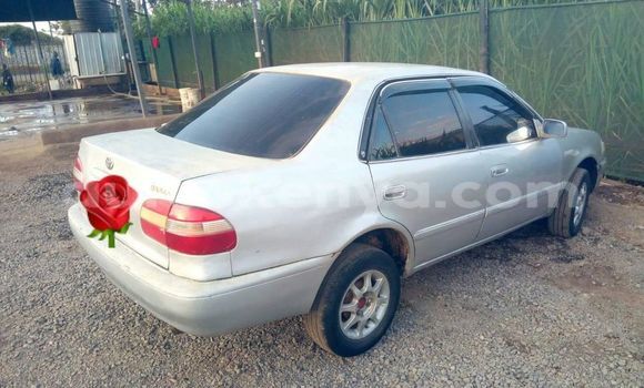Oofamaa Toyota Corolla Silver Makiinaa iti Nairobi keessatti Nairobi keessatti Oofamaa Toyota Corolla Silver Makiinaa iti Nairobi keessatti Nairobi keessatti