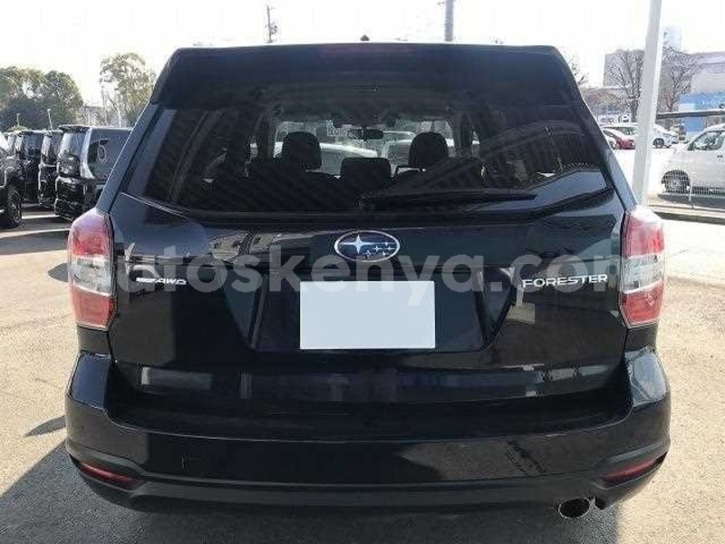 Big with watermark 04