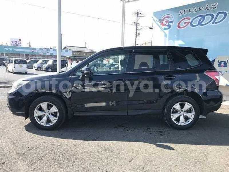 Big with watermark 07