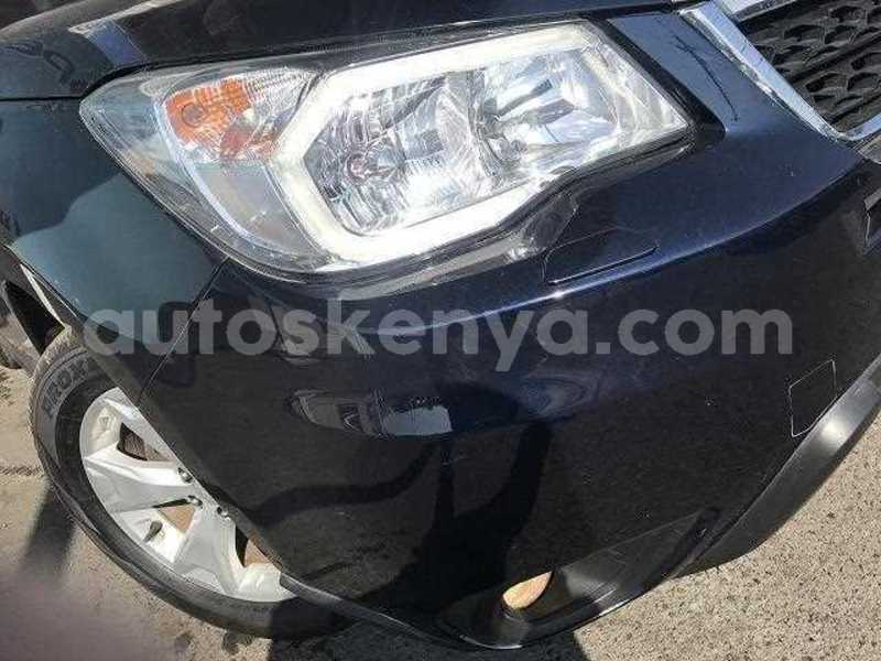 Big with watermark 09