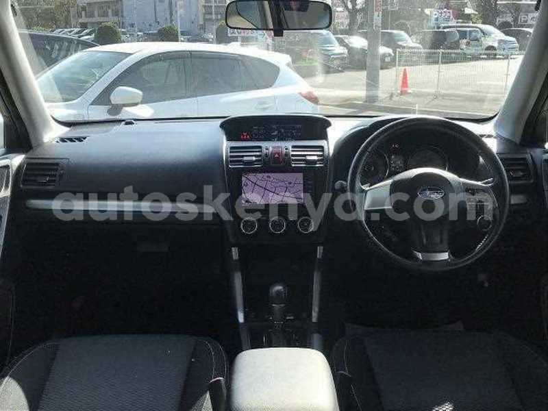 Big with watermark 10