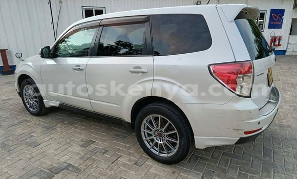 Oofamaa Subaru Forester White Makiinaa iti Nairobi keessatti Nairobi keessatti Oofamaa Subaru Forester White Makiinaa iti Nairobi keessatti Nairobi keessatti