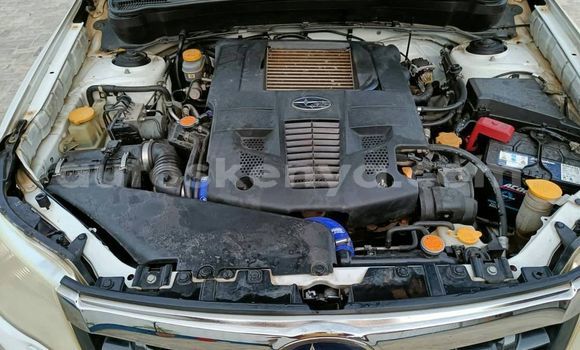 Oofamaa Subaru Forester White Makiinaa iti Nairobi keessatti Nairobi keessatti Oofamaa Subaru Forester White Makiinaa iti Nairobi keessatti Nairobi keessatti