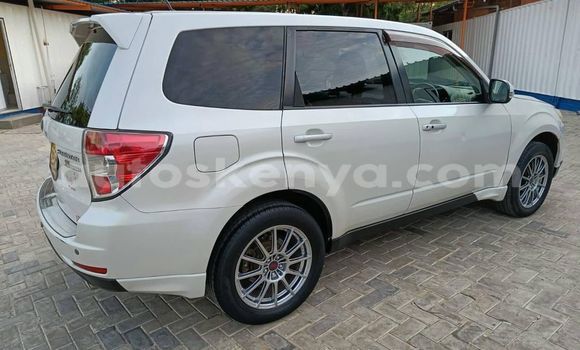 Oofamaa Subaru Forester White Makiinaa iti Nairobi keessatti Nairobi keessatti Oofamaa Subaru Forester White Makiinaa iti Nairobi keessatti Nairobi keessatti
