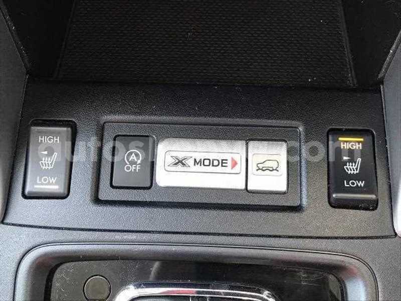 Big with watermark 13