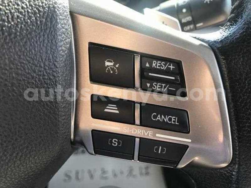 Big with watermark 14