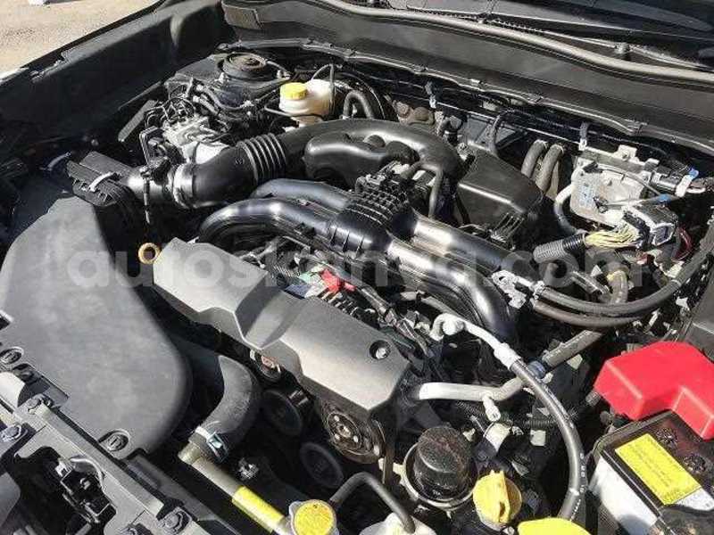 Big with watermark 17