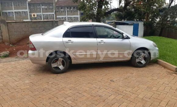 Nunua Ilio tumika Toyota Corolla Fedha Gari ndani ya Nairobi nchini Nairobi