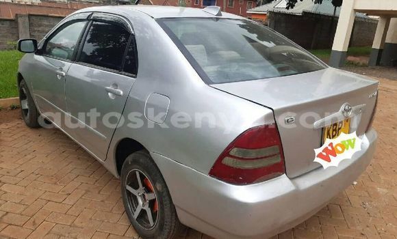 Oofamaa Toyota Corolla Silver Makiinaa iti Nairobi keessatti Nairobi keessatti Oofamaa Toyota Corolla Silver Makiinaa iti Nairobi keessatti Nairobi keessatti
