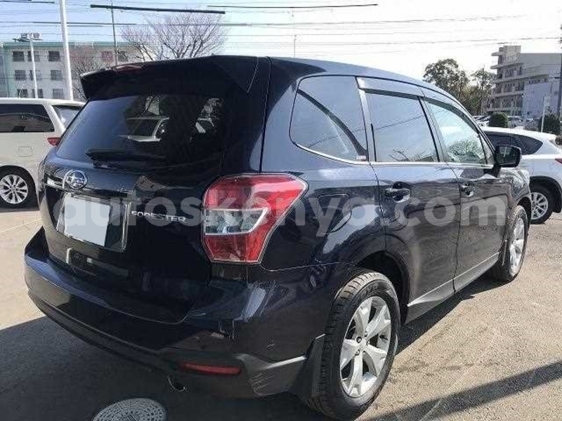 Big with watermark 33