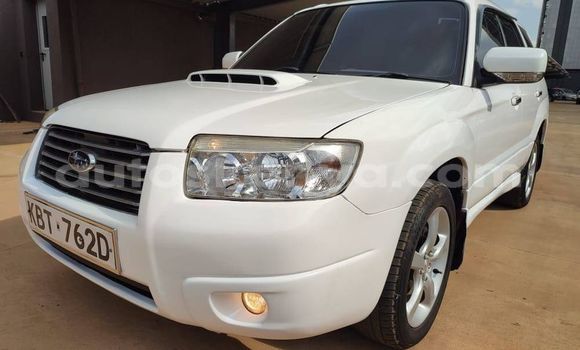 Buy Used Subaru Forester White Car in Nairobi in Nairobi
