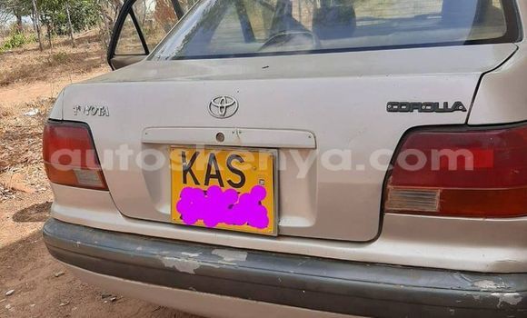 Oofamaa Toyota Corolla Silver Makiinaa iti Nairobi keessatti Nairobi keessatti Oofamaa Toyota Corolla Silver Makiinaa iti Nairobi keessatti Nairobi keessatti