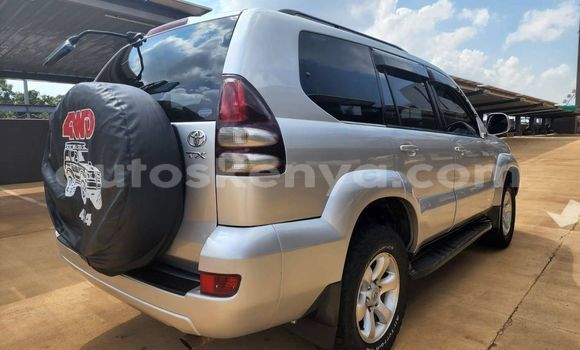 Oofamaa Toyota Land Cruiser Prado Silver Makiinaa iti Nairobi keessatti Nairobi keessatti Oofamaa Toyota Land Cruiser Prado Silver Makiinaa iti Nairobi keessatti Nairobi keessatti