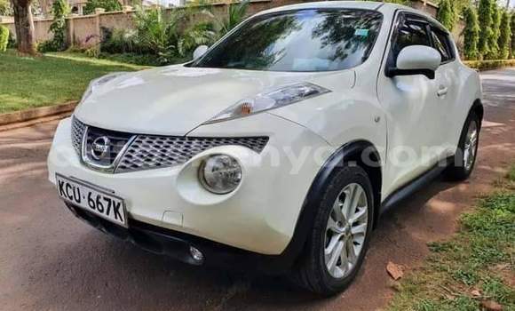 Buy Used Nissan Juke White Car in Nairobi in Nairobi Buy Used Nissan Juke White Car in Nairobi in Nairobi