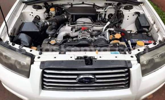 Buy Used Subaru Forester White Car in Nairobi in Nairobi Buy Used Subaru Forester White Car in Nairobi in Nairobi