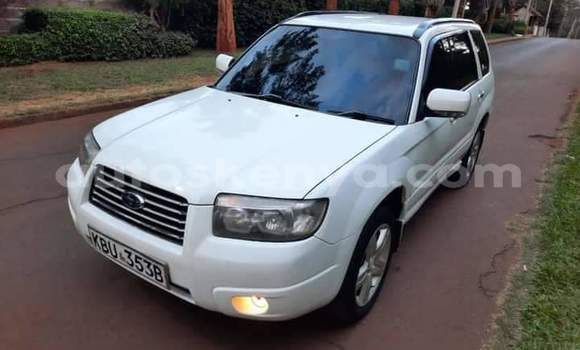 Buy Used Subaru Forester White Car in Nairobi in Nairobi Buy Used Subaru Forester White Car in Nairobi in Nairobi