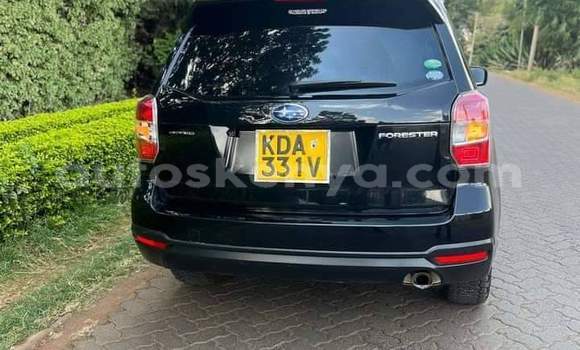 Buy Used Subaru Forester Black Car in Nairobi in Nairobi Buy Used Subaru Forester Black Car in Nairobi in Nairobi