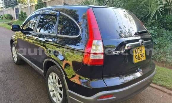 Buy Used Honda CR–V Black Car in Nairobi in Nairobi Buy Used Honda CR–V Black Car in Nairobi in Nairobi
