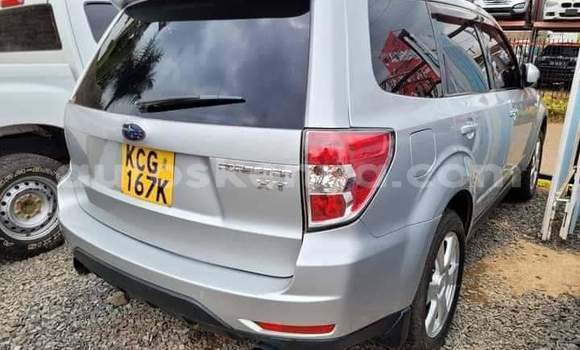Buy Used Subaru Forester Silver Car in Nairobi in Nairobi Buy Used Subaru Forester Silver Car in Nairobi in Nairobi