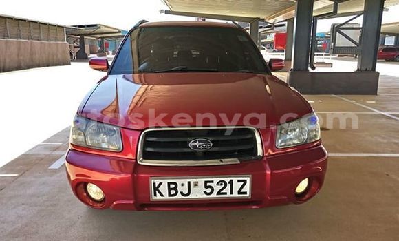 Oofamaa Subaru Forester Red Makiinaa iti Nairobi keessatti Nairobi keessatti Oofamaa Subaru Forester Red Makiinaa iti Nairobi keessatti Nairobi keessatti