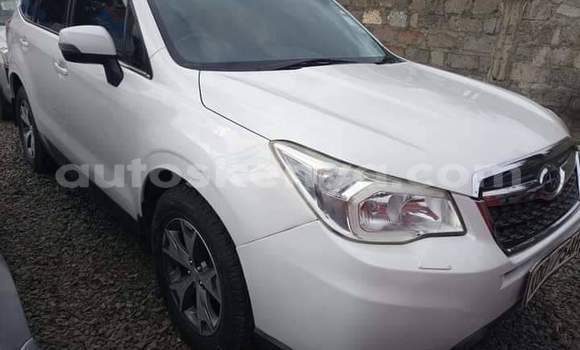 Nunua Ilio tumika Subaru Forester Nyeupe Gari ndani ya Nairobi nchini Nairobi