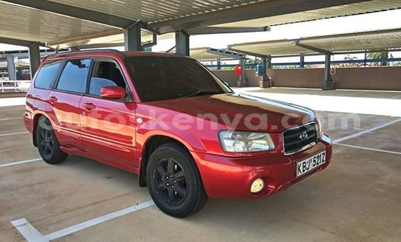 Oofamaa Subaru Forester Red Makiinaa iti Nairobi keessatti Nairobi keessatti Oofamaa Subaru Forester Red Makiinaa iti Nairobi keessatti Nairobi keessatti