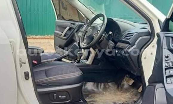 Buy Used Subaru Forester White Car in Nairobi in Nairobi Buy Used Subaru Forester White Car in Nairobi in Nairobi
