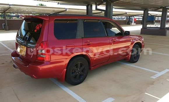 Oofamaa Subaru Forester Red Makiinaa iti Nairobi keessatti Nairobi keessatti Oofamaa Subaru Forester Red Makiinaa iti Nairobi keessatti Nairobi keessatti