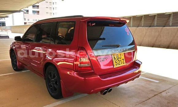 Oofamaa Subaru Forester Red Makiinaa iti Nairobi keessatti Nairobi keessatti Oofamaa Subaru Forester Red Makiinaa iti Nairobi keessatti Nairobi keessatti