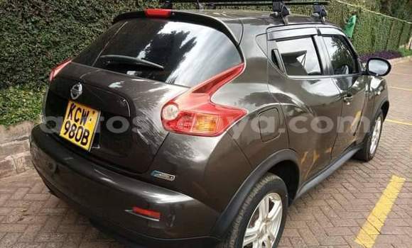 Buy Used Nissan Juke Brown Car in Nairobi in Nairobi Buy Used Nissan Juke Brown Car in Nairobi in Nairobi