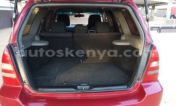 Oofamaa Subaru Forester Red Makiinaa iti Nairobi keessatti Nairobi keessatti Oofamaa Subaru Forester Red Makiinaa iti Nairobi keessatti Nairobi keessatti