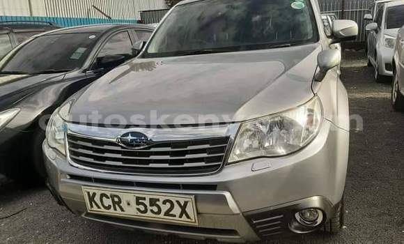 Oofamaa Subaru Forester Silver Makiinaa iti Nairobi keessatti Nairobi keessatti Oofamaa Subaru Forester Silver Makiinaa iti Nairobi keessatti Nairobi keessatti