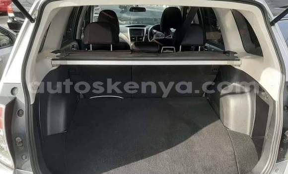 Buy Used Subaru Forester Silver Car in Nairobi in Nairobi Buy Used Subaru Forester Silver Car in Nairobi in Nairobi