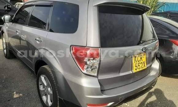 Buy Used Subaru Forester Silver Car in Nairobi in Nairobi Buy Used Subaru Forester Silver Car in Nairobi in Nairobi